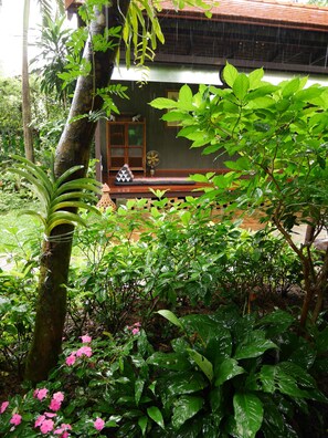 Vista desde la habitación