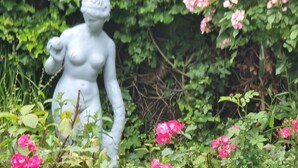 A garden statue of a woman holding a flower, surrounded by lush greenery and pink flowers. - Die Villa Mettmann (Mettmann)