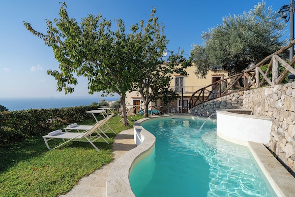 Seasonal outdoor pool, pool umbrellas, sun loungers