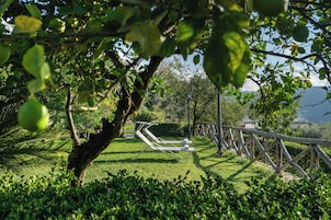 Un jardín con cerca de madera, césped y vista al mar.