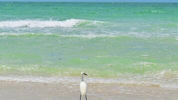 Beach nearby, sun-loungers, beach towels
