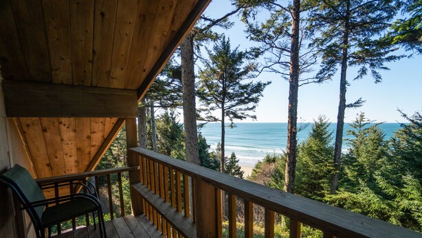 A wooden deck with a railing overlooking a beach and forest.