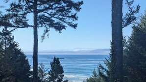 A coastal view with tall trees framing the ocean and distant mountains.