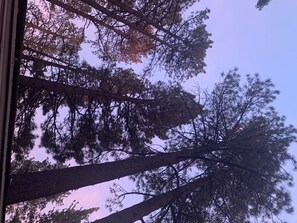 Unclassified image, 2 of 8, button