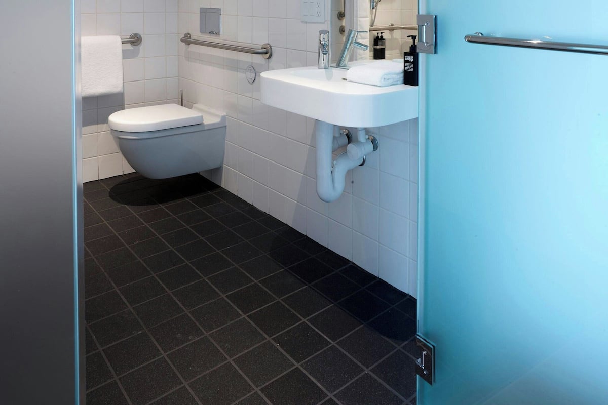 Room, 1 King Bed (Mobility Accessible, Roll-In Shower) | Bathroom | Shower, hydromassage showerhead, eco-friendly toiletries, hair dryer