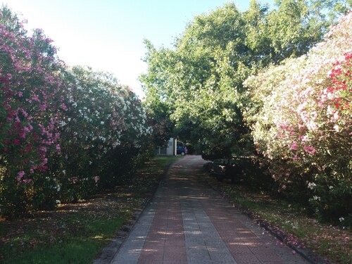 Villa surrounded by greenery