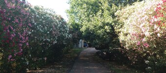 Villa surrounded by greenery