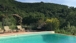 Una piscina azul cristalina con sillas de descanso y un pérgola adornada con flores.