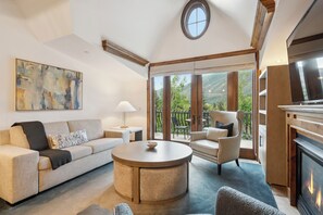 Televisión, chimenea, reproductor de DVD y libros