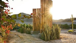 A garden pathway with stepping stones, a bamboo structure, and various plants.