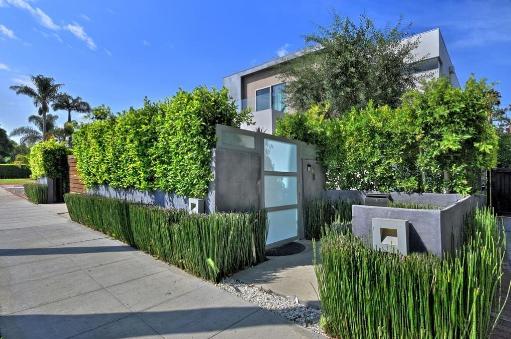 A modern house with a concrete facade, a glass door entrance, and lush greenery around the property.