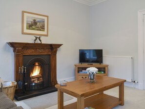 Fernseher, Kamin