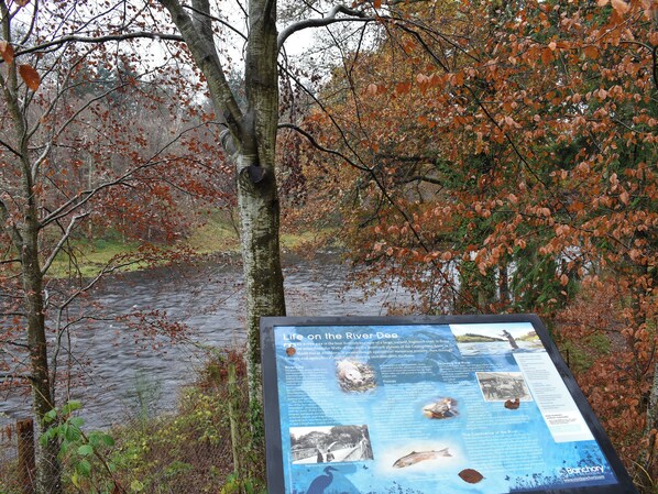 A river with surrounding trees and a signboard.