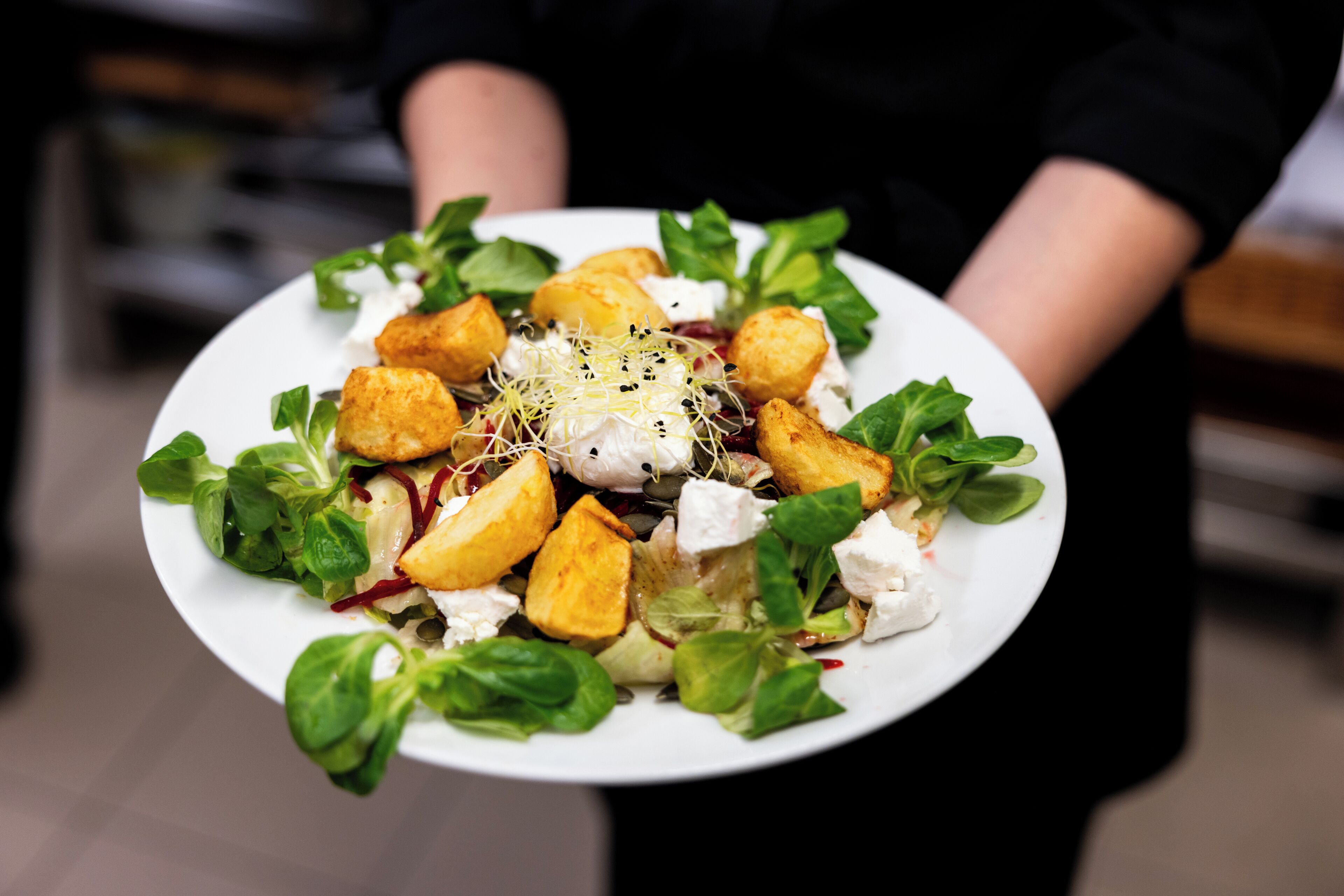 Una persona sosteniendo un plato con ensalada, que incluye hojas verdes, croutons y queso.