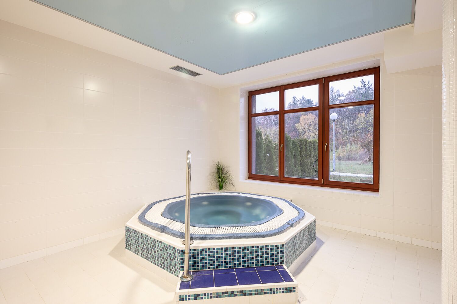 Un cuarto de spa con hidromasaje, una ventana con vistas a árboles y una lámpara en el techo.