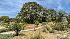 Un jardin où l’on trouve une variété de plantes, un grand arbre et une petite structure en forme de tour.