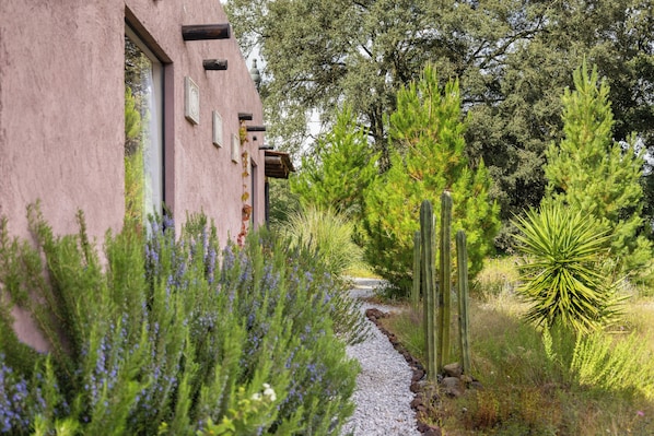 Caminho de jardim que leva a um edifício com fachada em estuque e detalhes decorativos.