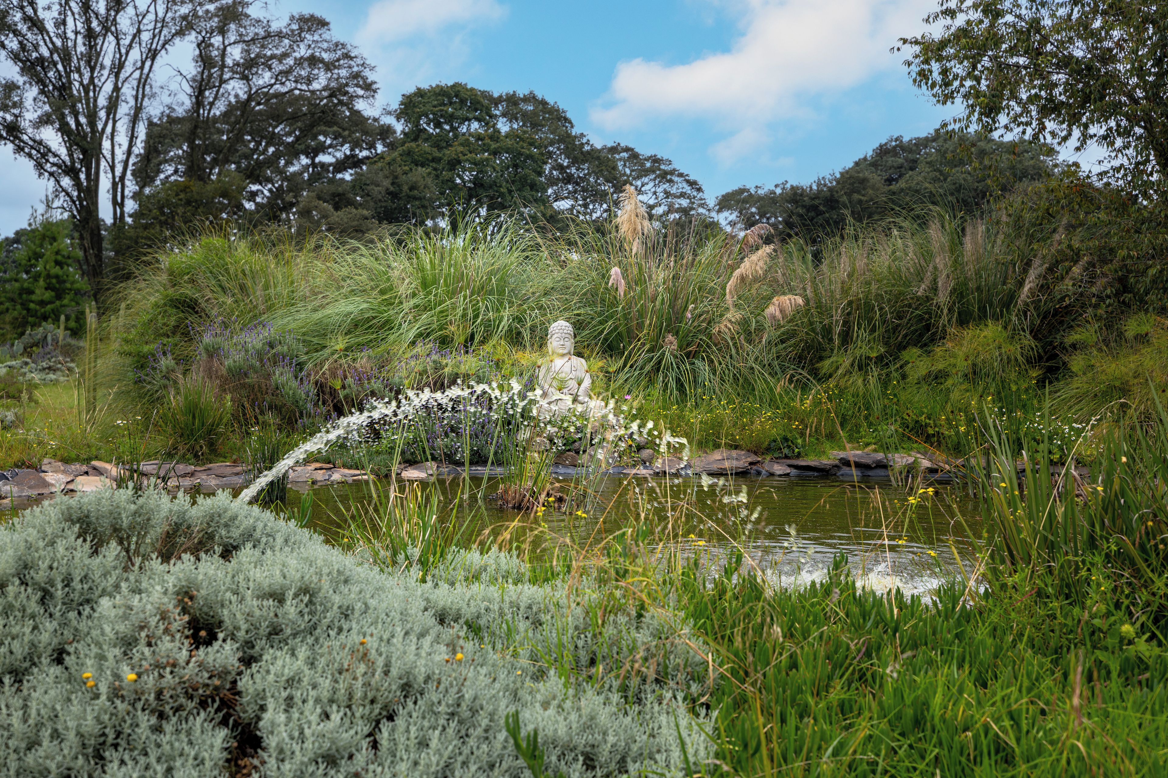 A garden with a water feature, including a statue and various plants.