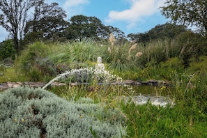 A garden with a water feature, including a statue and various plants. - Casa Maria Campiña (Jilotepec)