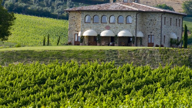 A stone building with a tiled roof, arched windows, and a bell tower, surrounded by lush vineyards. - Luxury Villa with private pool and Estate Winery in Umbria (Orvieto)