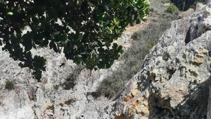 Hot springs - Bay Heights Bed and Breakfast (Gros Islet)