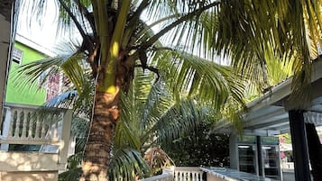 Bar en bord de piscine