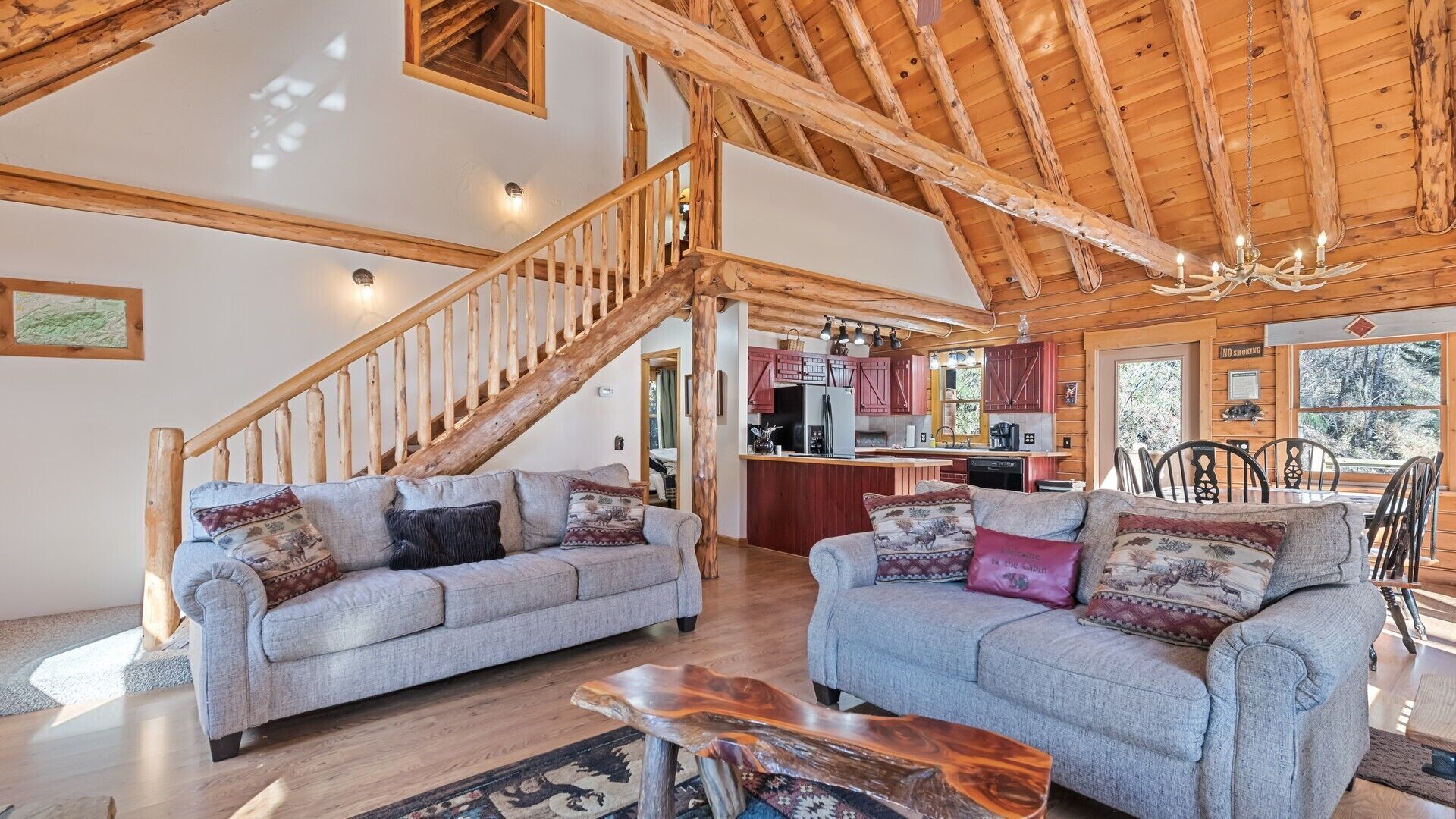 电视、壁炉、DVD 播放器、乒乓球