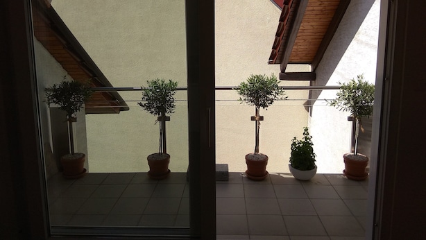Une vue à travers la fenêtre d’un balcon orné de plantes en pot et doté d’une structure de plafond en bois.
