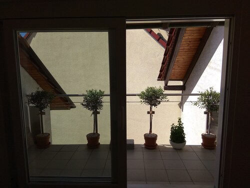 Loft vacation apartment near Baden-Baden