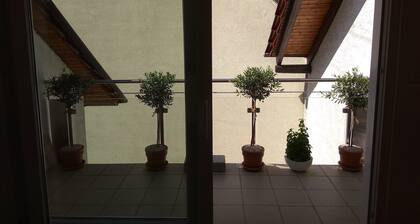 Loft vacation apartment near Baden-Baden