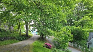 A narrow residential street lined with lush green trees and a stone wall on one side. - 1930's Gingerbread Style - Ambience & Waterviews (Armdale)