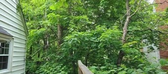 Halifax Oceanview & Waterfalls-1930's Gingerbread style home