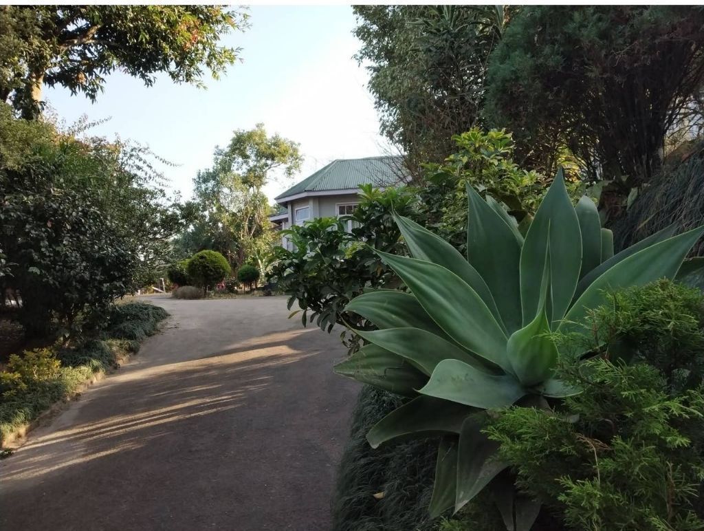 Terrein van de accommodatie