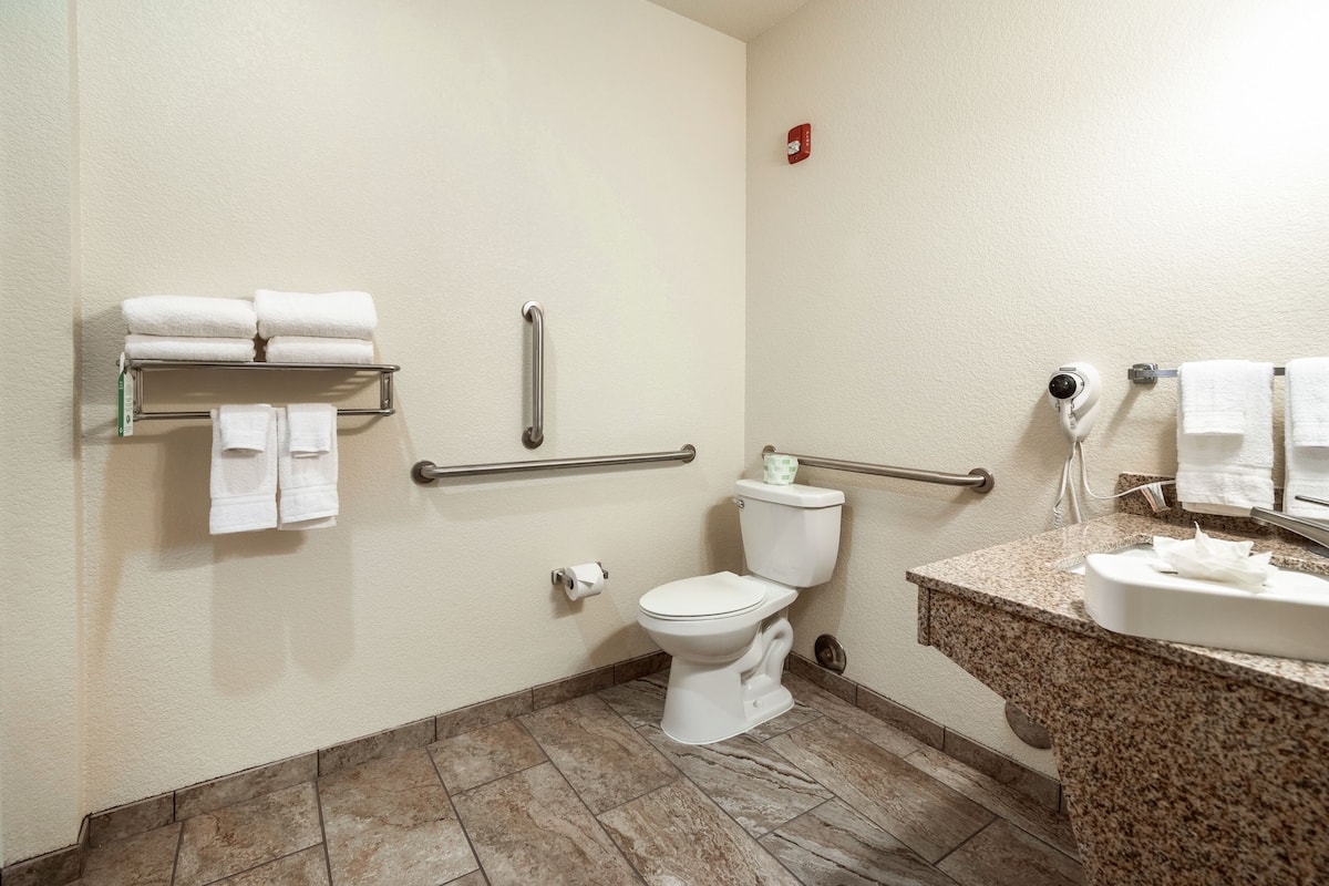 Ein Badezimmer mit Toilette, Haltegriffen, Waschbecken und Handtuchhalter.