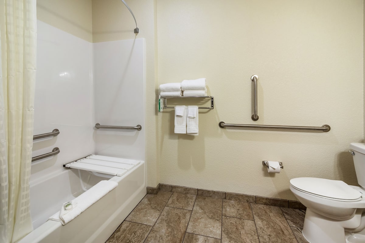 Ein Badezimmer mit Badewanne, Toilette und Haltegriffen.