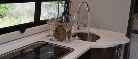 Fridge, microwave, stovetop, paper towels