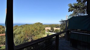 Property grounds - Magic Beach House - Sensational Views (WALKERVILLE SOUTH)