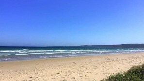 Beach nearby - Waratah Bay Tree Tops Escape (WARATAH BAY)