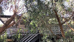 Property grounds - Waratah Bay Tree Tops Escape (WARATAH BAY)