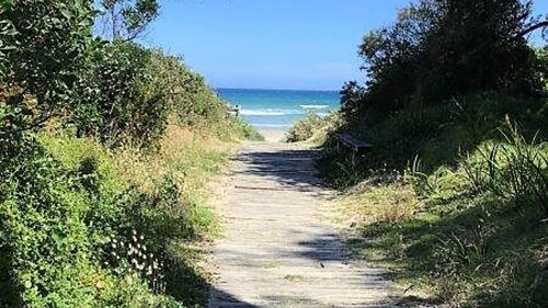 Waratah Bay Tree Tops Escape