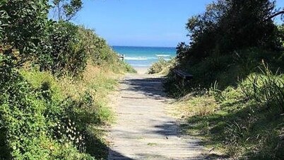 Waratah Bay Tree Tops Escape