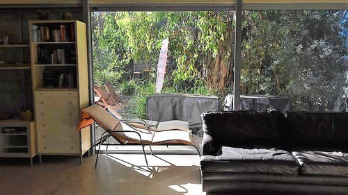 Banksias at Waratah Bay