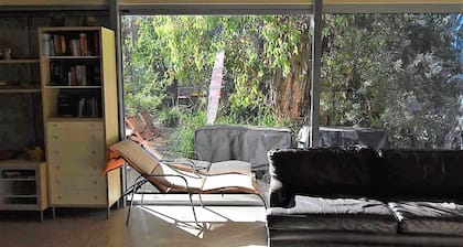 Banksias at Waratah Bay