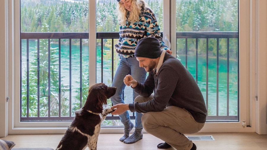 Basecamp Resorts Revelstoke