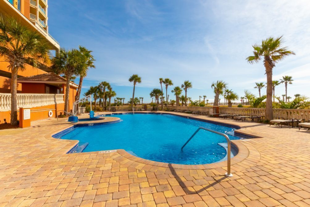 A swimming pool with a curved edge, surrounded by palm trees and a tiled deck.