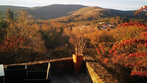Eine Holzterrasse mit einem Terrakotta-Topf und Blick auf ein Tal mit Hügeln und Windkraftanlagen.
