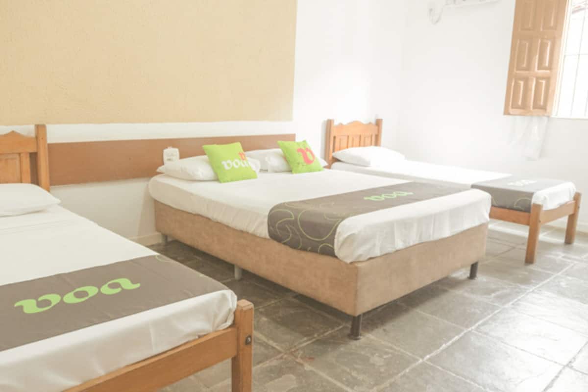 Trois lits simples avec des têtes de lit en bois, du linge de lit blanc et des coussins décoratifs verts et bruns.