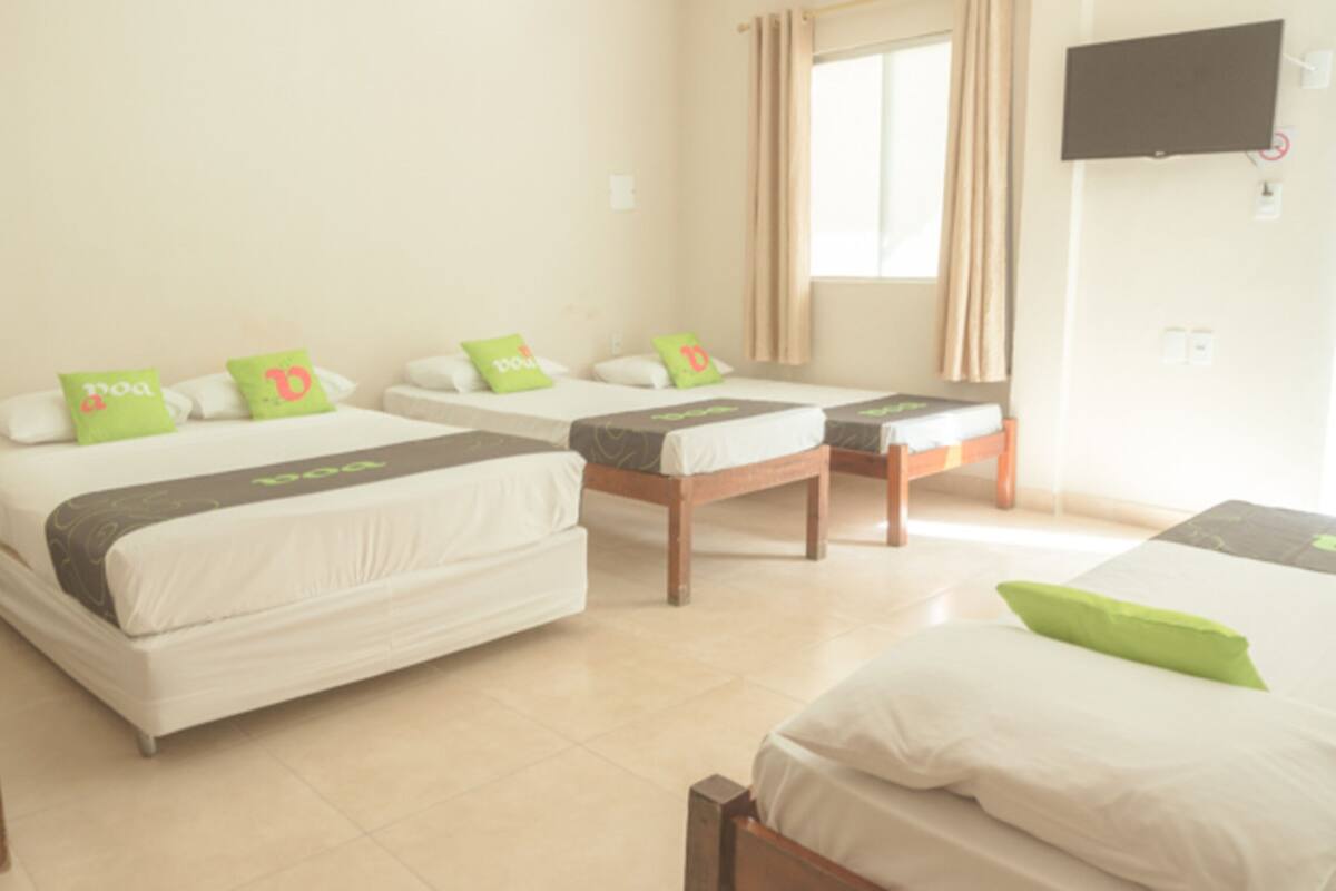 A hotel room with four single beds, each with a green pillow and a white bedspread. There is a TV mounted on the wall and a window with curtains.