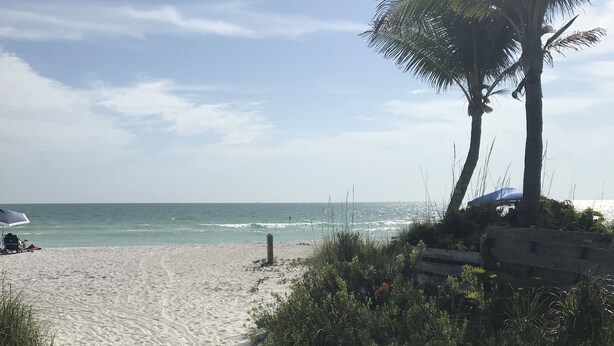 A sandy beach path leading to the ocean with palm trees and a wooden structure. - Gulf  Beach Bungalow (Holmes Beach)