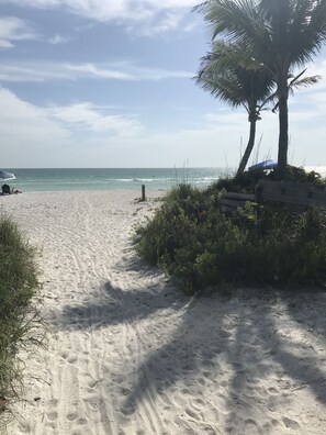 A sandy beach path leading to the ocean with palm trees and a wooden structure.